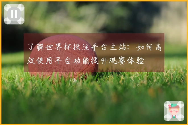 了解世界杯投注平台主站：如何高效使用平台功能提升观赛体验