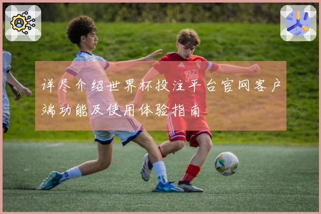 详尽介绍世界杯投注平台官网客户端功能及使用体验指南