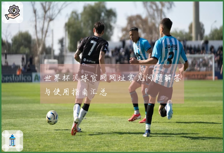 世界杯买球官网网址常见问题解答与使用指南汇总