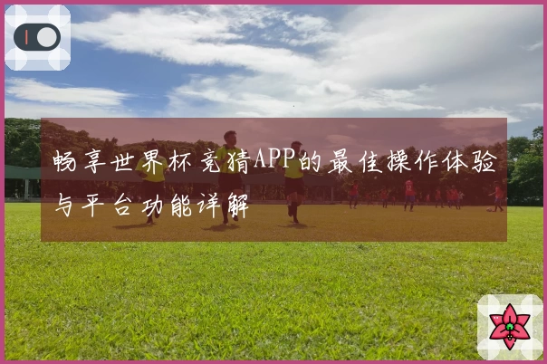 畅享世界杯竞猜APP的最佳操作体验与平台功能详解